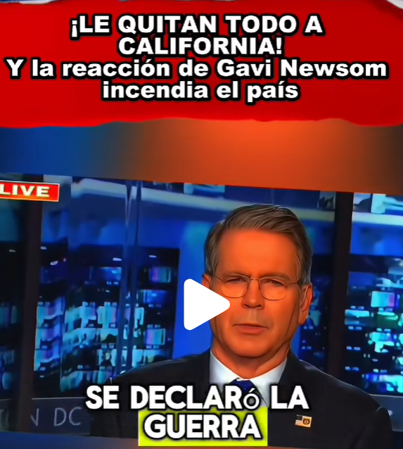 Screenshot 2025-06-13 114043.png