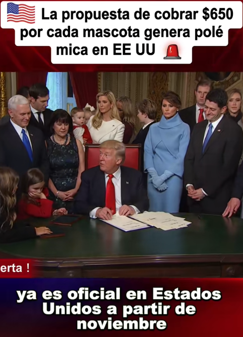 Screenshot 2025-11-06 194916.png