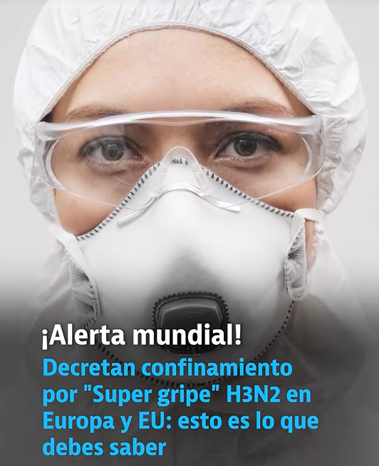 Screenshot 2025-12-23 113524.png