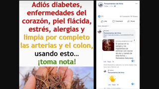 Verificación de datos: La Canela NO Es Una Cura Natural Para la Diabetes