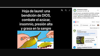 Verificación de Datos: Las Hojas de Laurel NO Curan la Hiperglucemia, el Insomnio, la Hipertensión Ni la Grasa en la Sangre