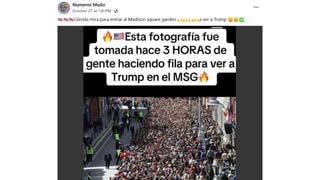 Verificación de Datos: Fotografía NO Muestra a Multitud Esperando por Trump en el Madison Square Garden -- Tomada en Dublin en 2011