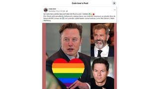 Verificación de Datos: Elon Musk No Invertirá en un Estudio No Inclusivo de Mel Gibson y Mark Wahlberg, No Existe