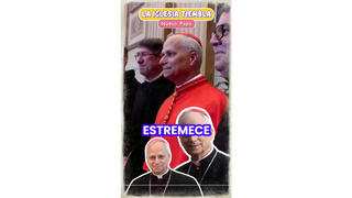Verificación de Datos: Acusaciones de Encubrimiento de Abusos Contra el Nuevo Papa León XIV Carecen de Contexto -- La Diócesis de Chiclayo Respondió con Investigación