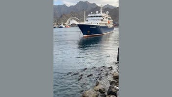 Verificación de Datos: Video Viral de Ratas del MV Hondius Es FALSO -- El Ratón del Hantavirus No Puede Nadar hasta la Costa