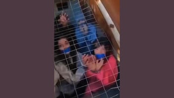 Verificación de Datos: Videos de la Operación Escudo Estatal de Florida NO Son del Operativo -- Son Clips Reciclados de Otros Casos